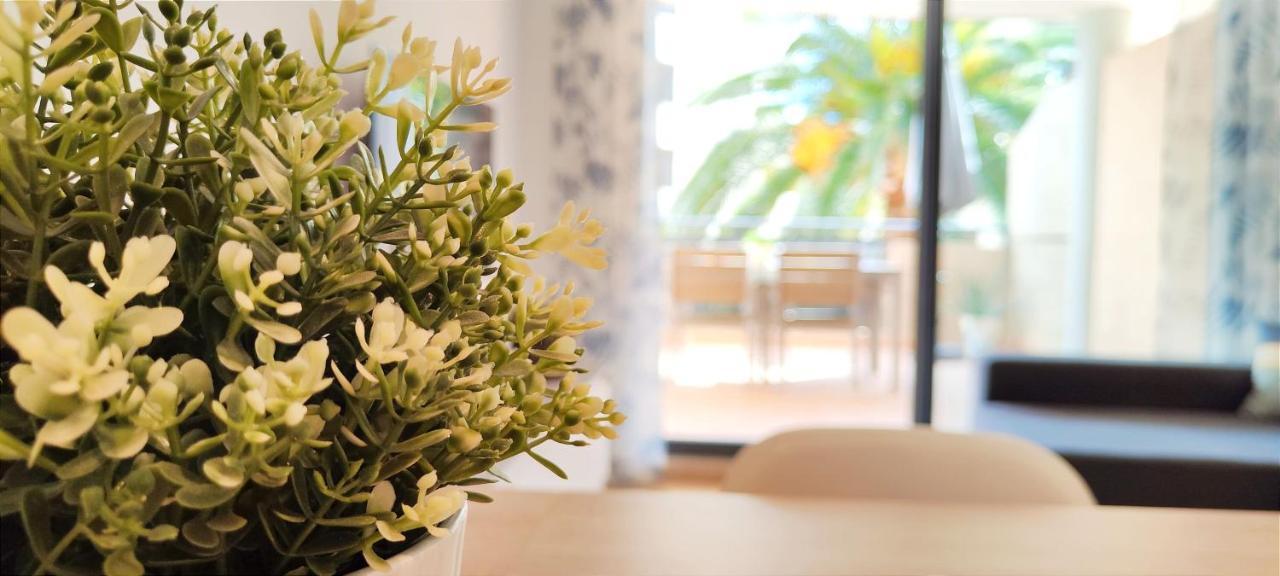 Apartamento Jacaranda By Denia Costa 外观 照片